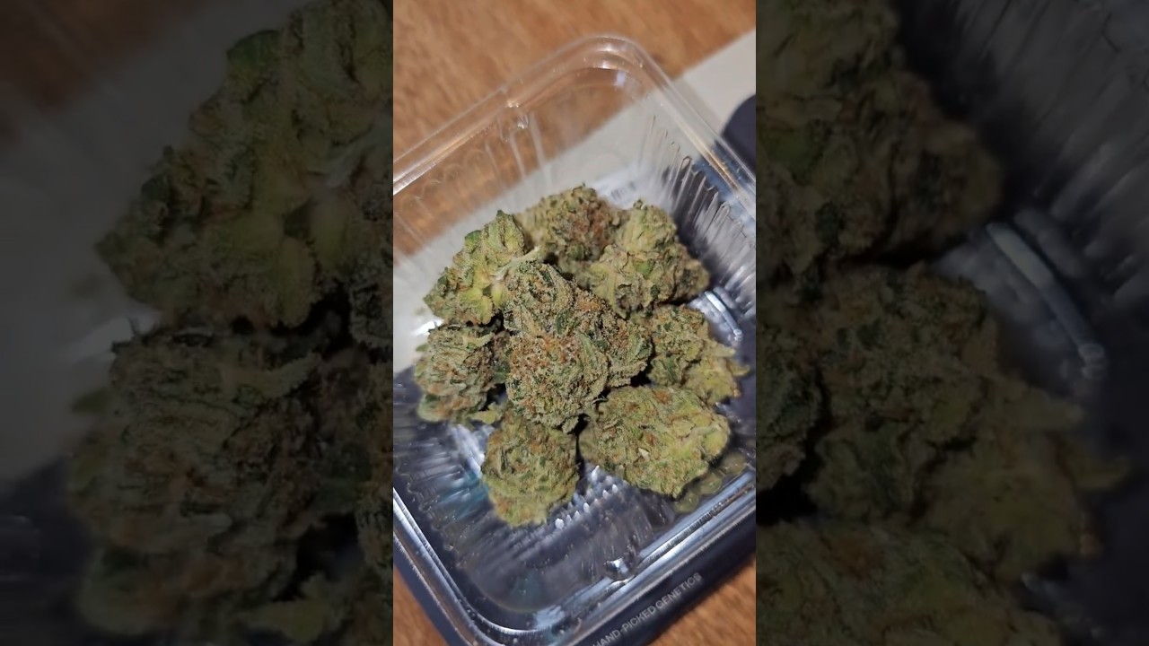 420 Sesh with some Coal Creek Kush. 