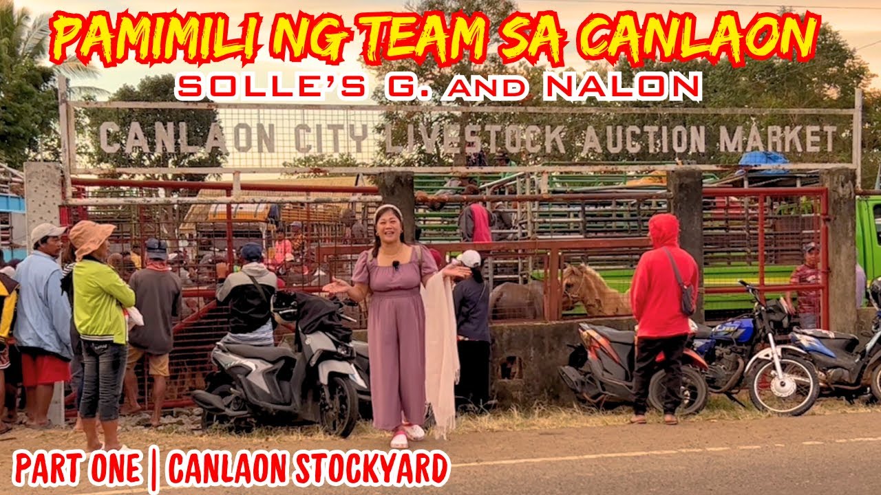PAMIMILI NG TEAM SA CANLAON |PART ONE: CANLAON STOCKYARD | SOLLE'S GANDANG BUHAY
