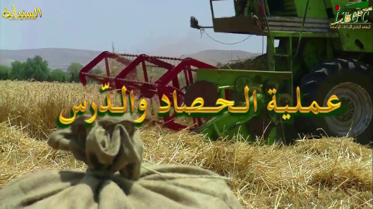 قناة 
