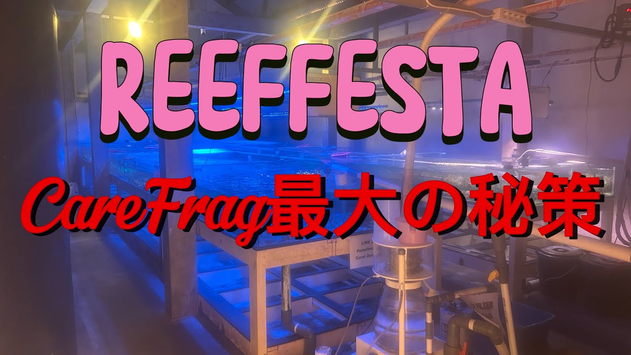 REEFFESTA最大の秘策