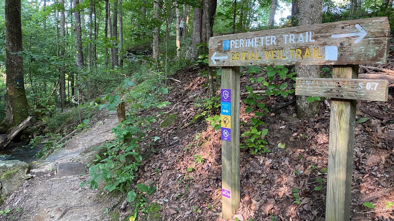 Bridal Veil Falls hiking experience #tnaroundme #sewanee #tennessee