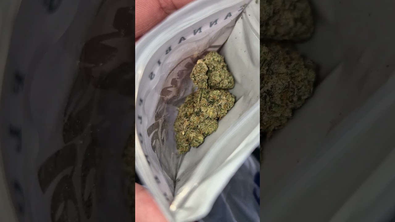 Pie Hoe - Jungle Boyz (grape pie x tahoe og)