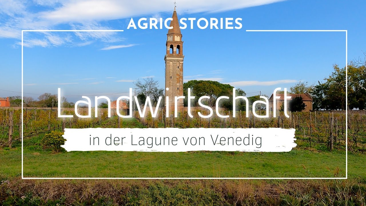 Landwirtschaft mitten in der Lagune von Venedig – Bio-Gemüse & Weinbau auf Inseln