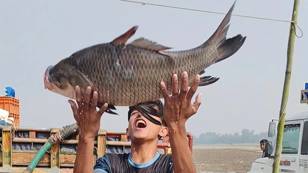 ধনুট উপজেলা বকচার গ্রামে অনুষ্ঠিত হয় জামাই মেলা।#মেলা #মিষ্টি #বাড়মাছ #জামাইমেলা #tradition #ঐতিহ্য