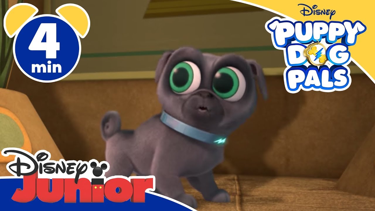 Puppy Dog Pals | La mummia - Disney Junior Italia