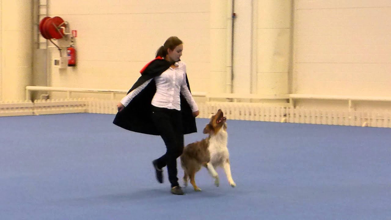 Vanda Gregorová, World Championship 2014 Helsinki, the final