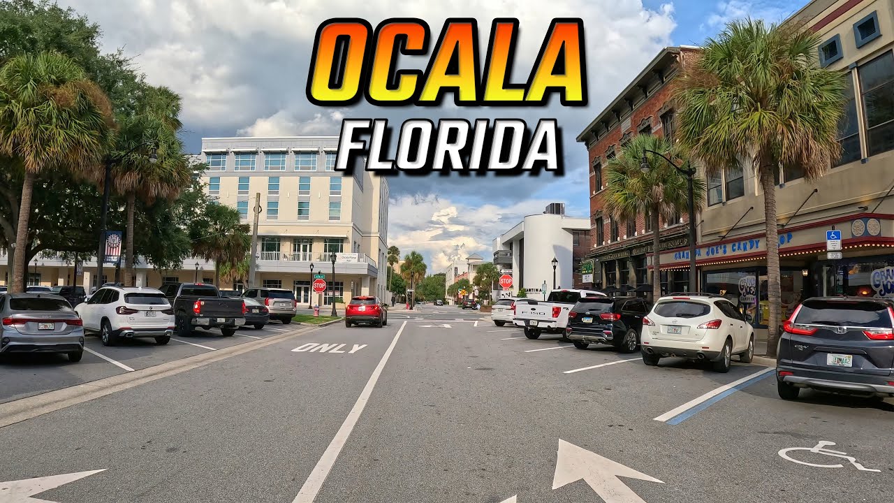 Discovering Ocala Florida by Car