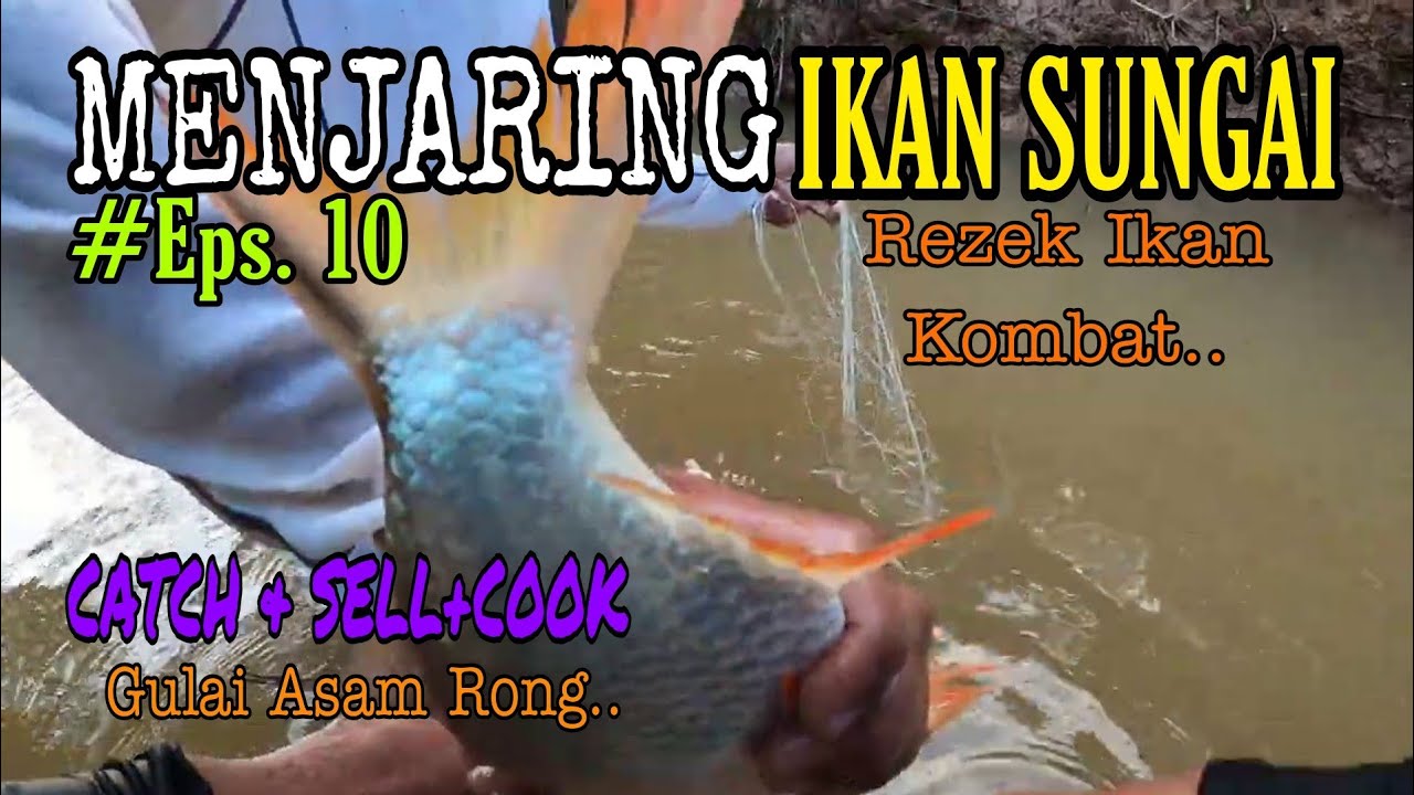 Menjaring Ikan Sungai Episod 10