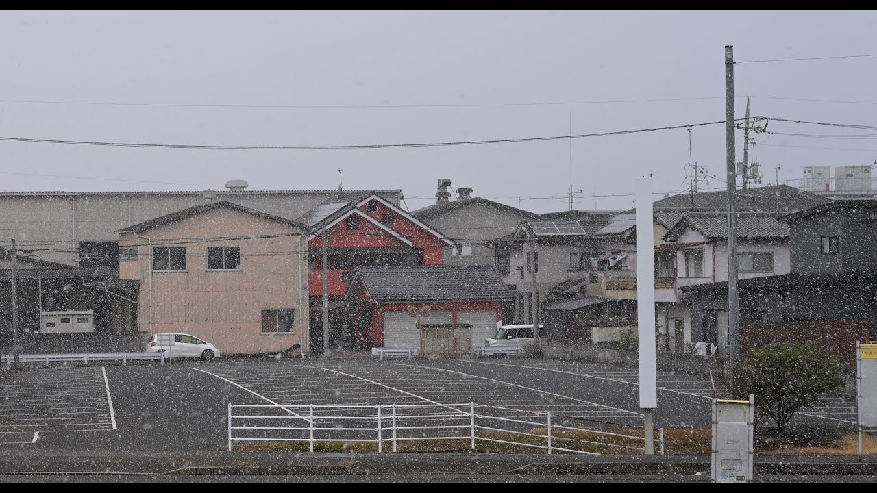 2026年2月8日！雪が降って来た！！この雪じゃ鳥撮行けねえじゃねえか！非常に残念じゃ編