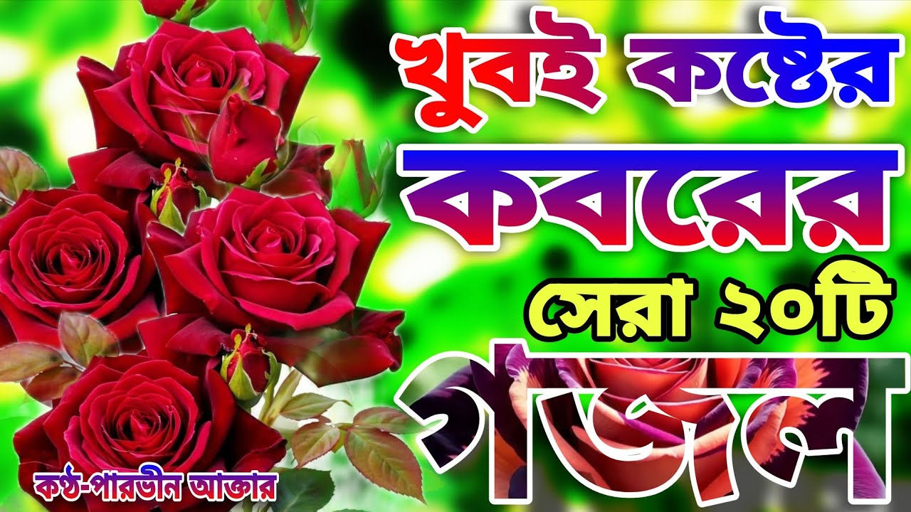 খুবই দুঃখের কবরের শেষ বিদায়ের মায়াবী কন্ঠে মনপ্রাণ জুড়ানো সেরা ২০টি গজল।তিন কাপড়ের পেকেট 