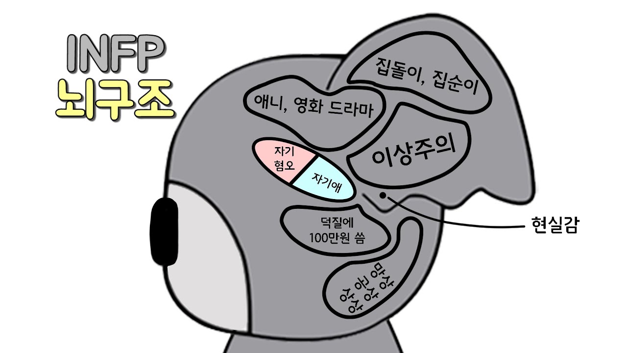 MBTI 유형별 뇌구조