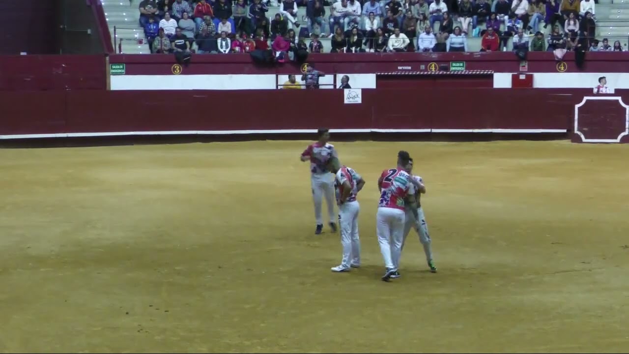 Final del concurso de Cortes de Castilla Y León -  La Flecha (VA) - Toros para la clasificación.