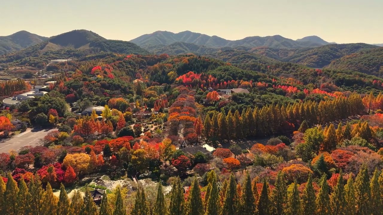 가을 데이트
