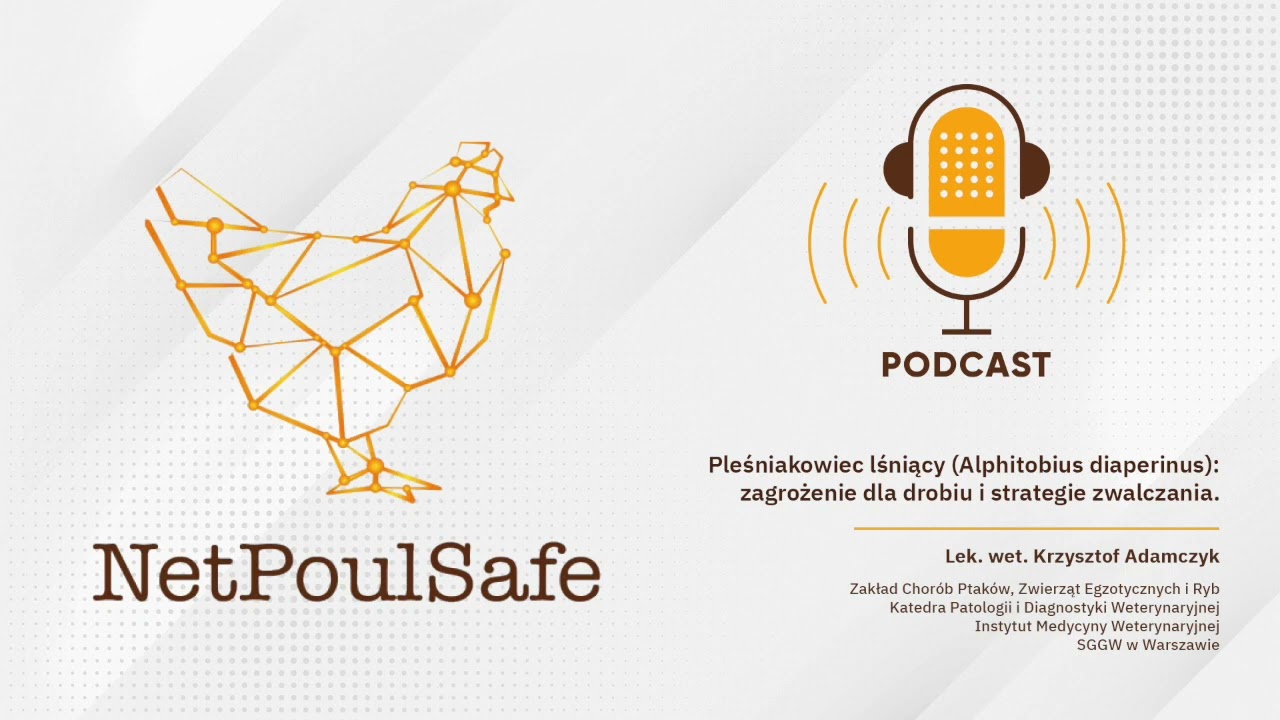 Podcast Netpoulsafe: Darkling beetles at farm  Threat to poultry and control strategies