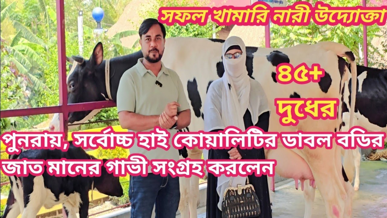 ৪০/৪৫+দুধের, কুমিল্লা থেকে পুনরায়-৩টি-গাভী+৩টি-বাচ্চা সহ সংগ্রহ করলেন।