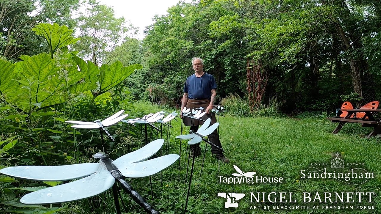 Dragonfly Meadow is coming to The Sandringham Gardens