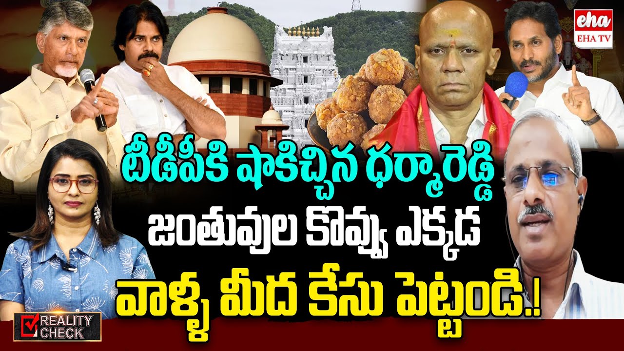 Tirumala Laddu Adulteration Issue | Ex EO Dharma Reddy comments on Kutami Government | EHA TV