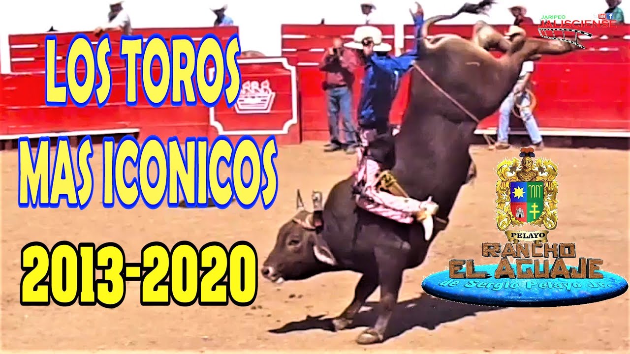 ¡RECOPILACION! LOS TOROS MAS ICONICOS DE RANCHO EL AGUAJE (2013-2020)