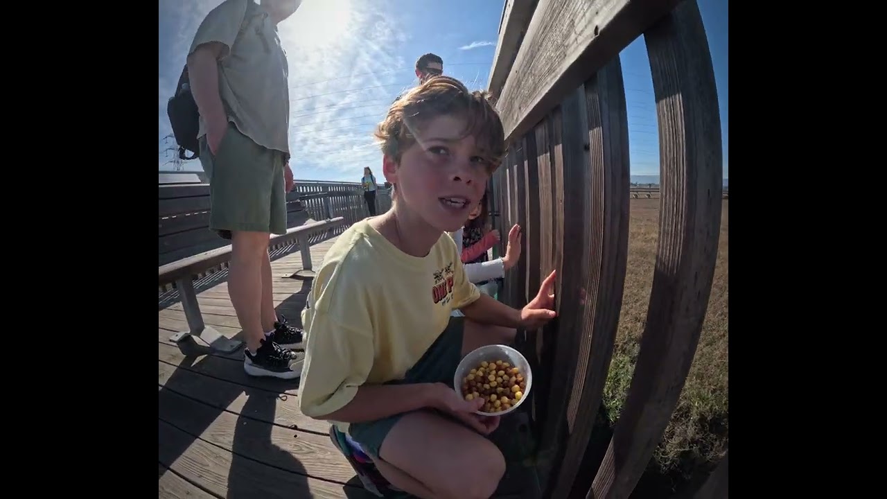 Baylands Nature Preserve | Part 1