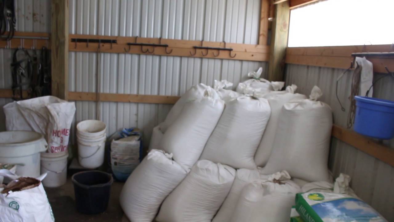 What Do I Feed My Horse? - Part 1
