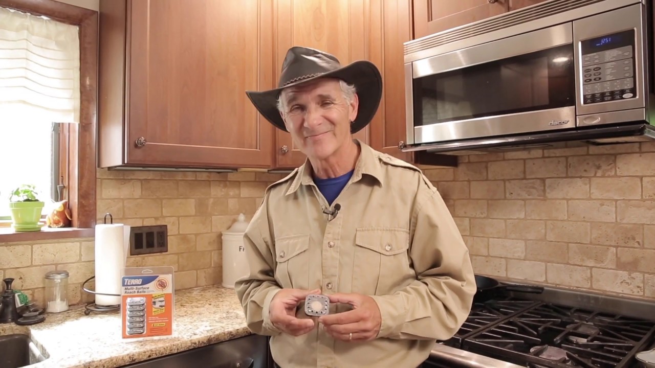 Quickly kill roaches with TERRO® Multi-Surface Roach Baits