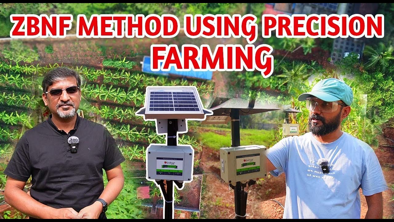 Zero Budget Natural Farming Using Precision Farming | Precision Farming | Country Farmss