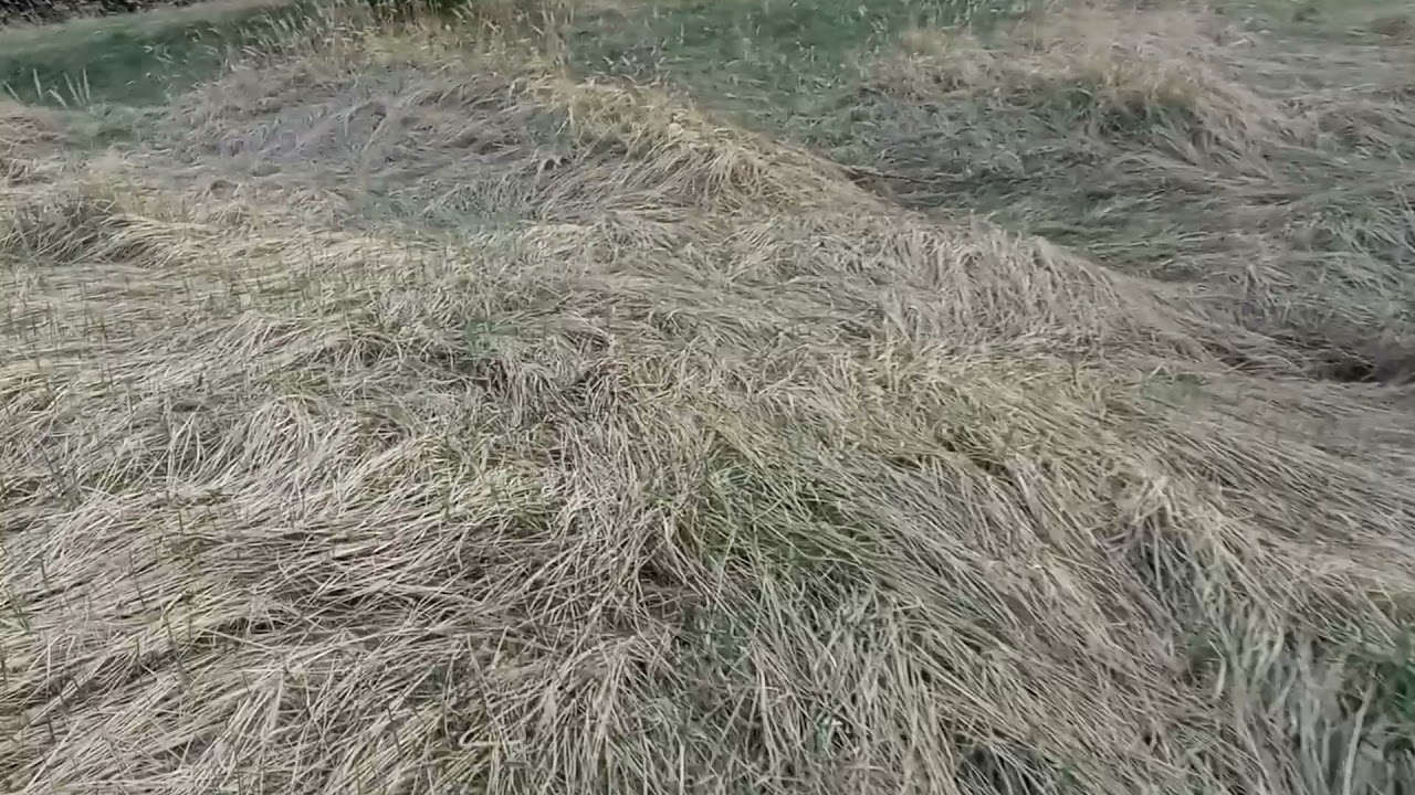 Собрал чёрное золото с буровой