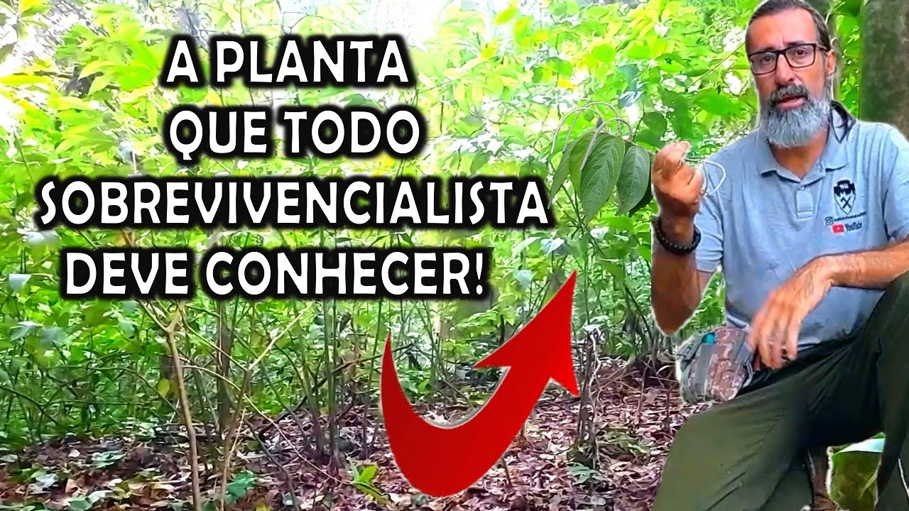 🌿Pimenta de macaco e sua aplica&ccedil;&atilde;o na sobreviv&ecirc;ncia!