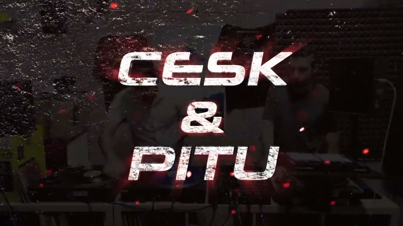 CESK & PITU (Special only pitu & cesk tracks)