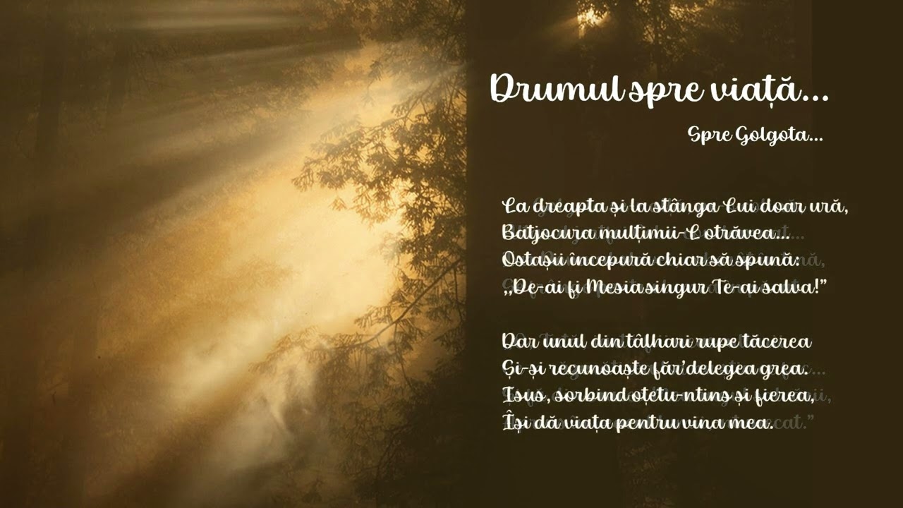 Lenuța Mandici - Spre Golgota, pe drumul întristării (Drumul spre Viață)