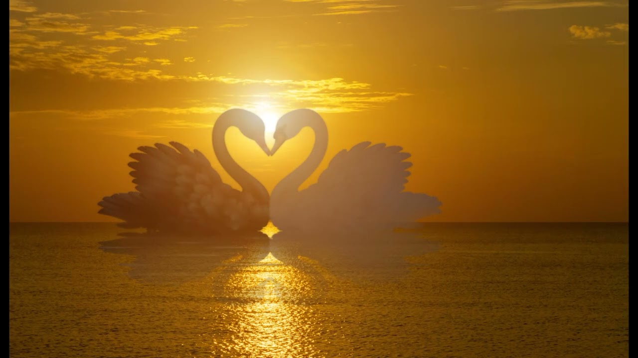Enforced - THRS - Ist das Liebe?
