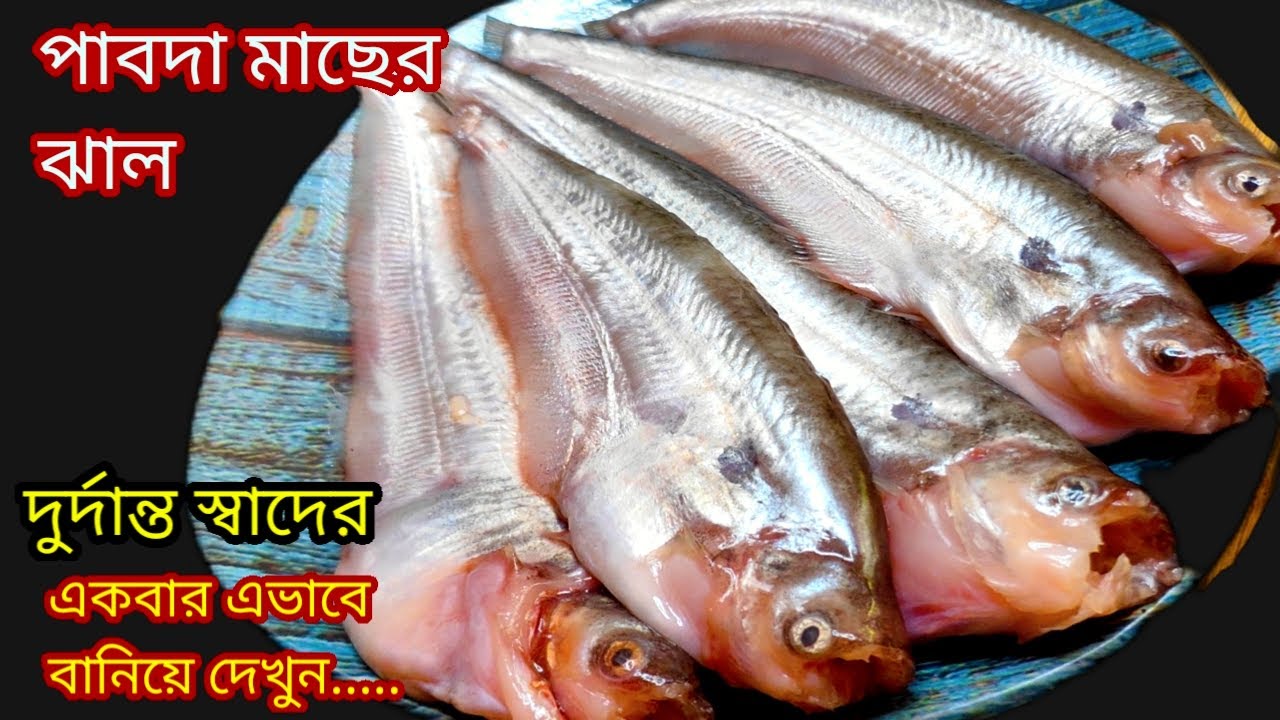 পাবদা মাছের তেল ঝাল - একবার এই পদ্ধতিতে রান্না করে দেখুন। pabda macher jhal।bengali fish curry