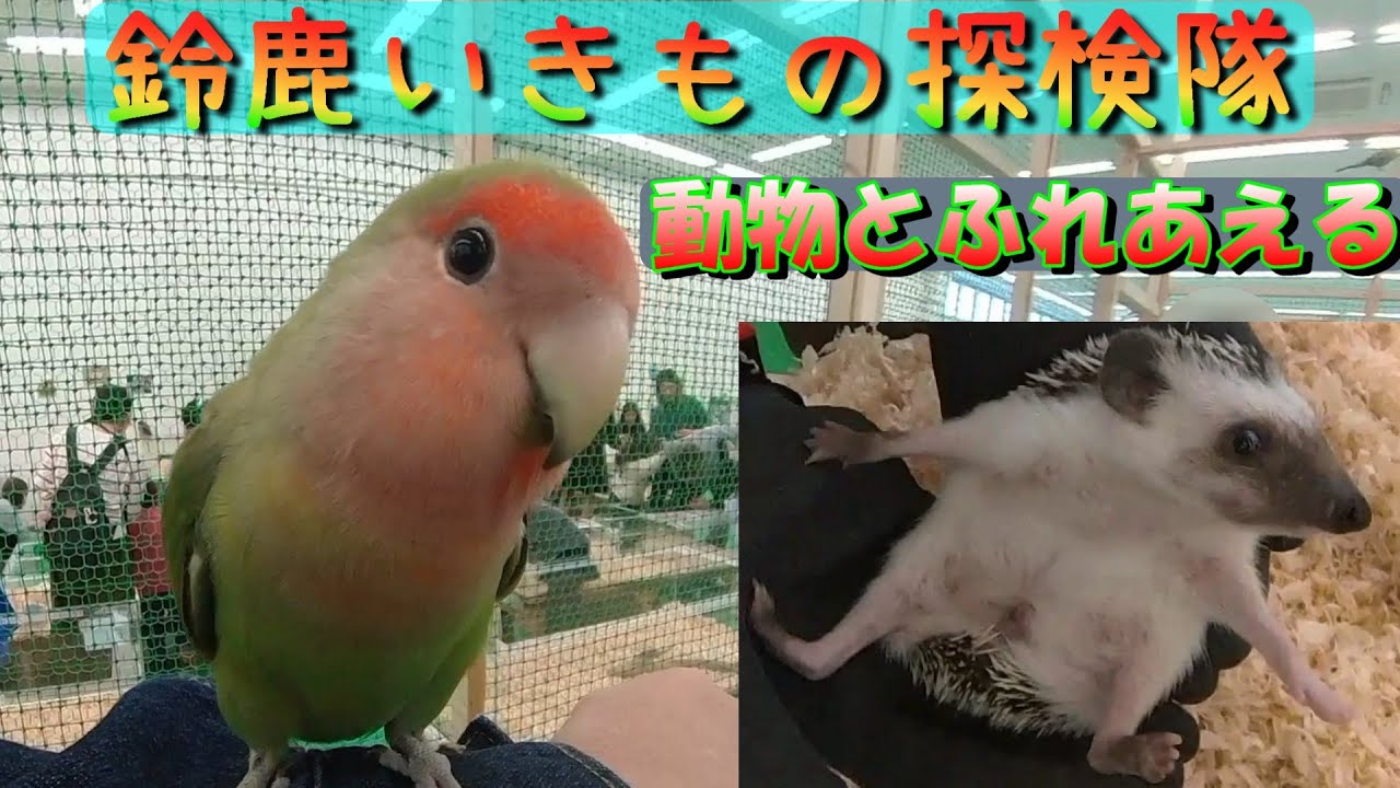 「いきもの探検隊」鈴鹿