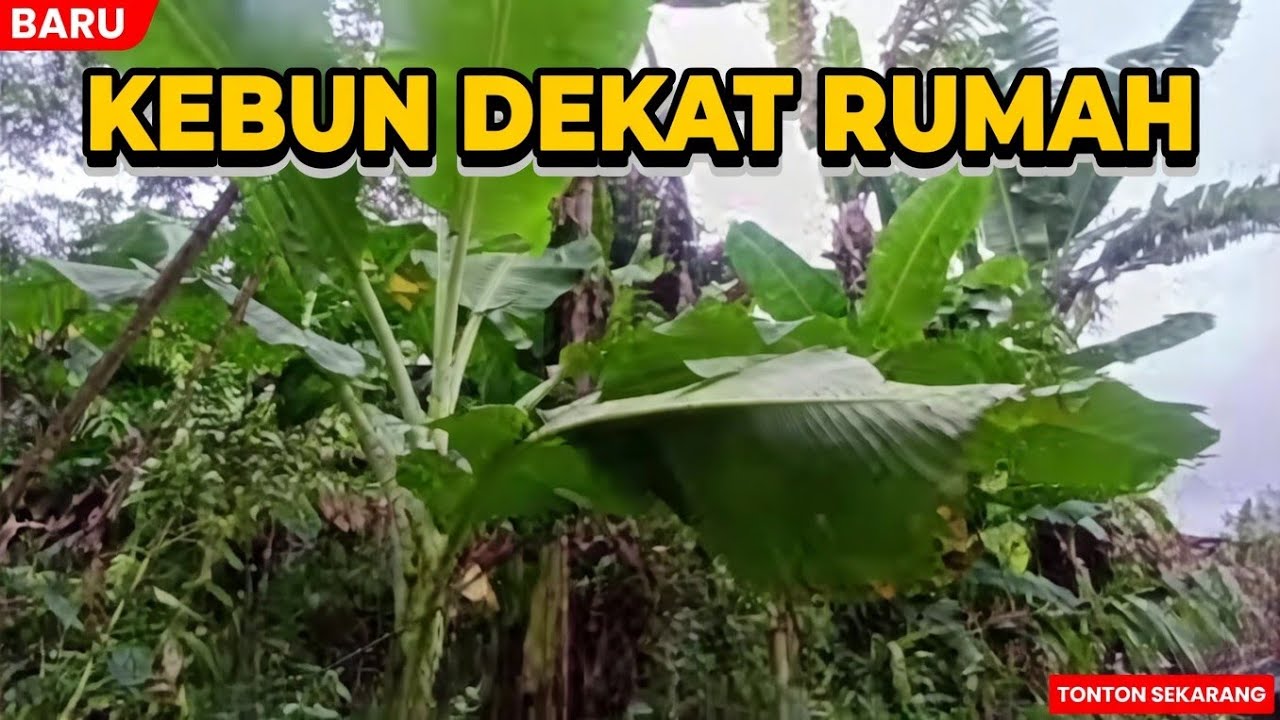 DANGDUT LAWAS TERBAIK CACA HANDIKA FUL ALBUM