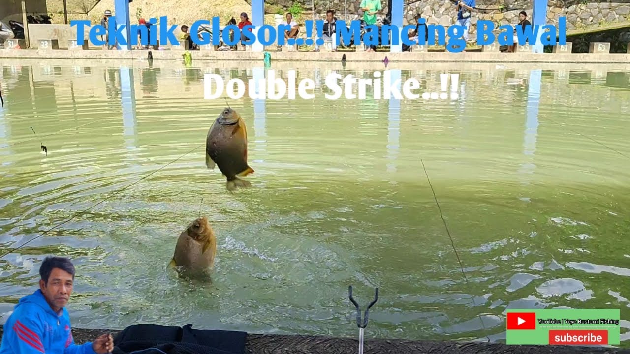 Teknik Glosor..!! Mancing Bawal || Double Strike..!!