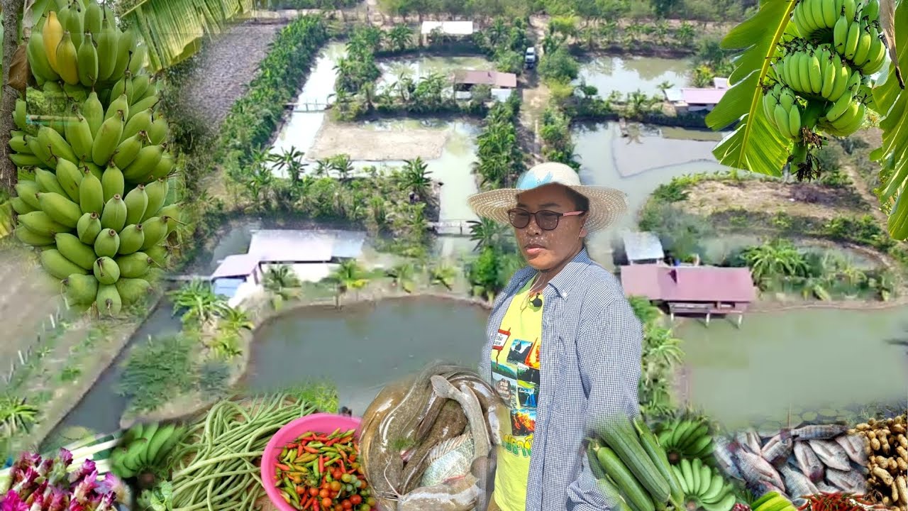 โคกหนองนาสวยๆจ.ร้อยเอ็ด!!ใช้เวลาแค่2ปีทำแบบไหนถึงมีกำไรทุกวัน