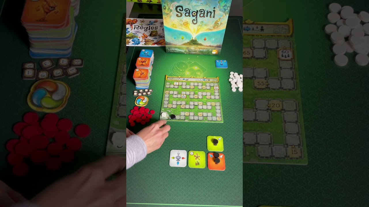 SAGANI - explication des règles de jeu