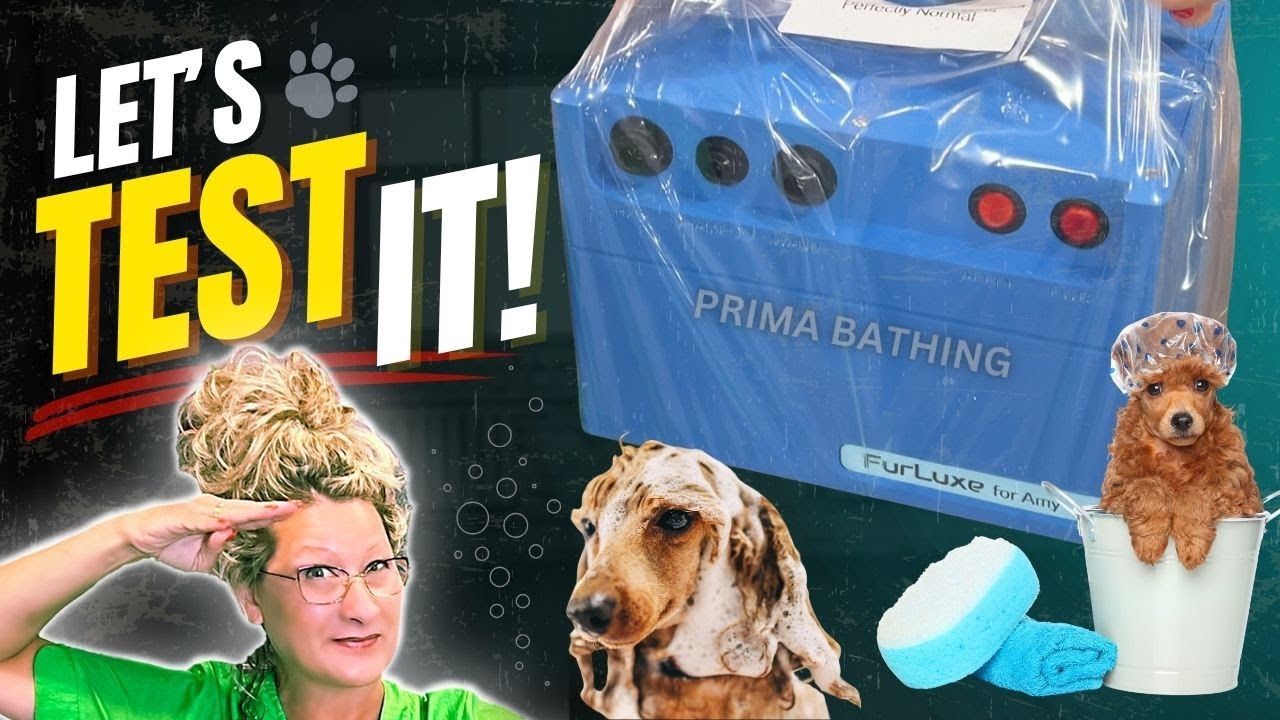 Prima FurLuxe Dog Bathing System | My Honest First Use & Review!