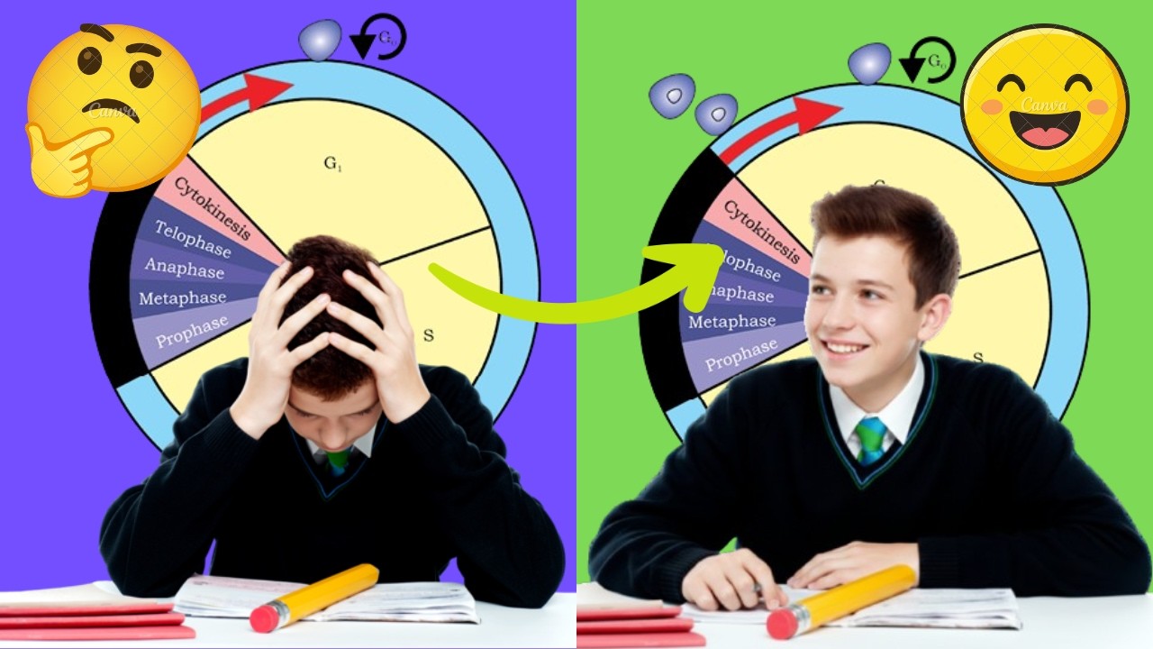 IMPORTANT QUESTION  | SST | CLASS 10 | BY VIKALP SIR