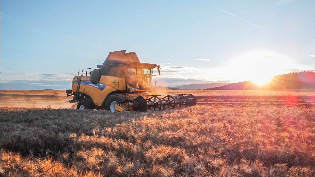 | Harvest 2024 in PD Bo&scaron;&aacute;ca 🌾 Claas Lexion 780 & New Holland CX 5.90 | #harvest #harvest2024