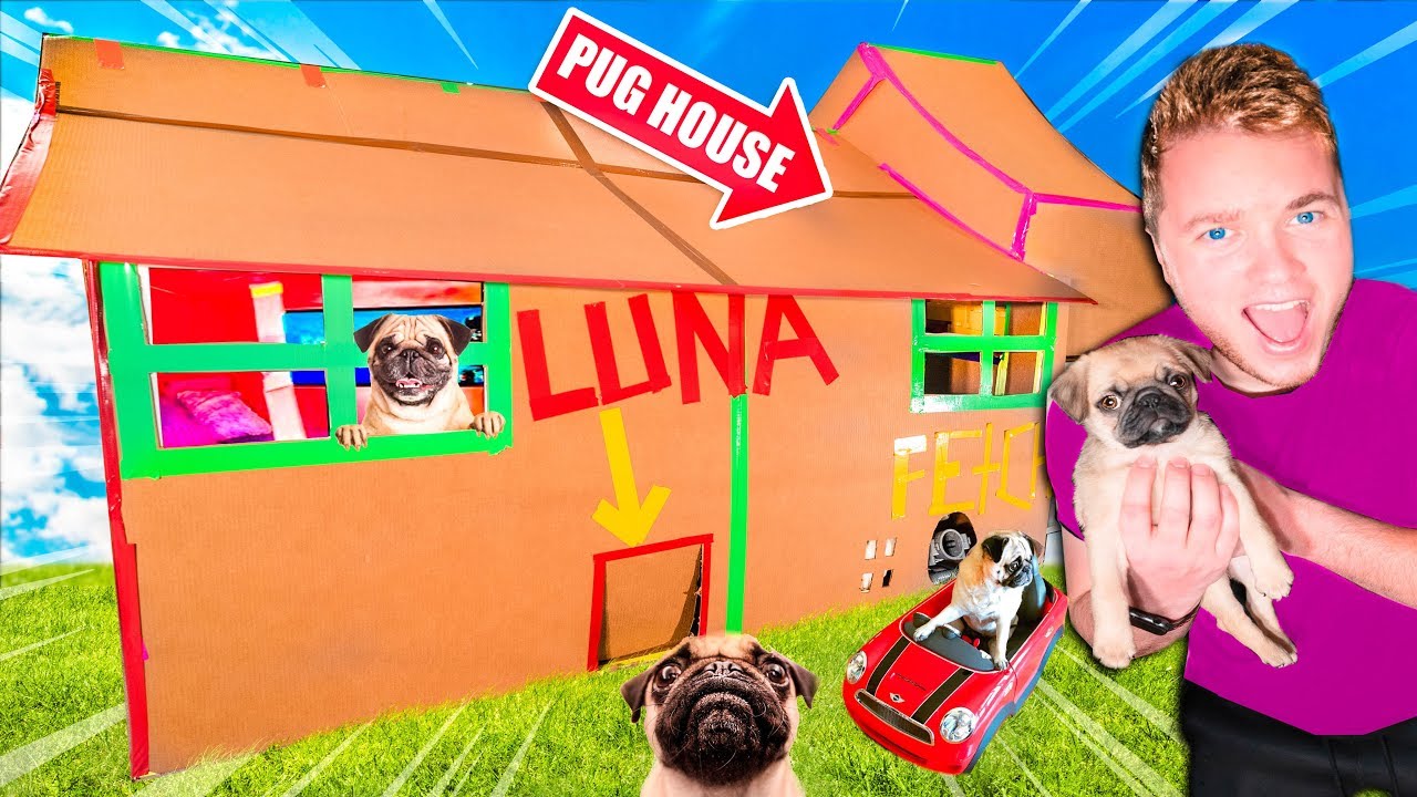 TWO STORY BOX FORT DOG HOUSE FOR PUG PUPPY! 📦🐶
