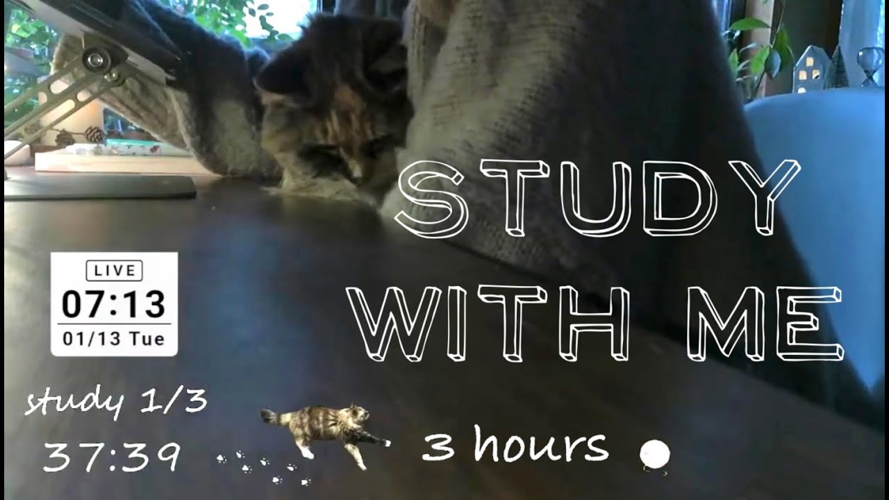 Study with me | pomodoro 50/10 | 7:00 - 10:00 -  fire crackling 一緒に勉強しましょう【作業用 焚火の音🔥】