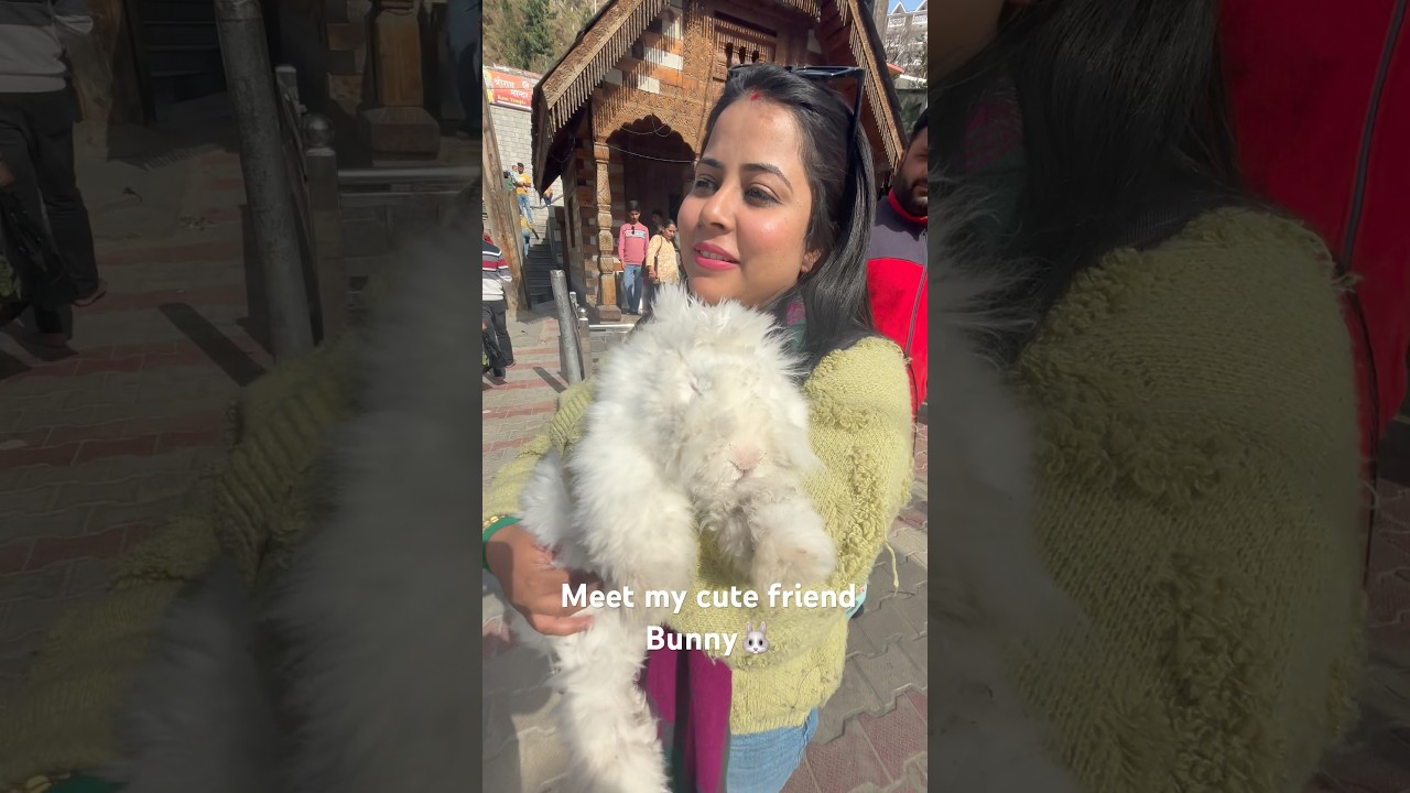 Got this cutie at Manali 