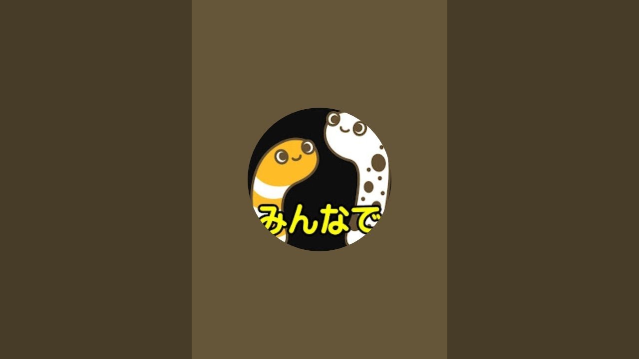 タイトル三線の日なので、仕事始まる前に少しだけ、三線演奏します🙇【yasukoba】　