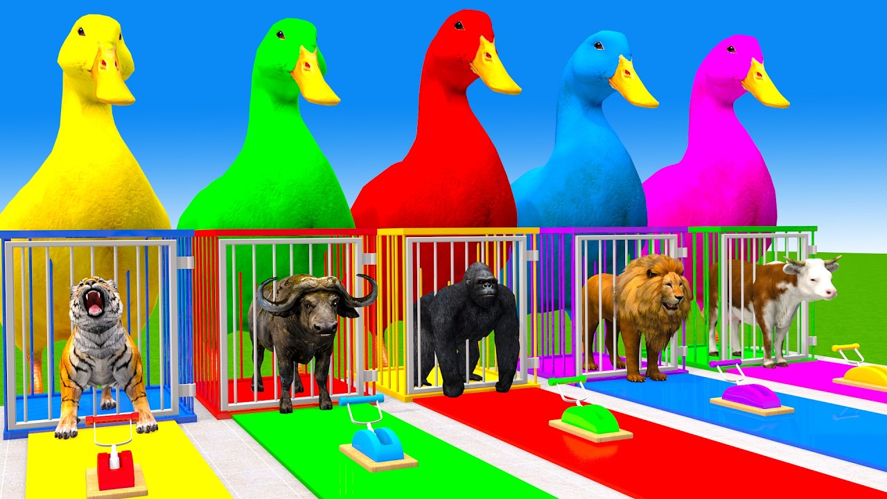 Long Slide Game With Cow Elephant Gorilla Hippopotamus Tiger 3d Animal Game Funny 3d Animals