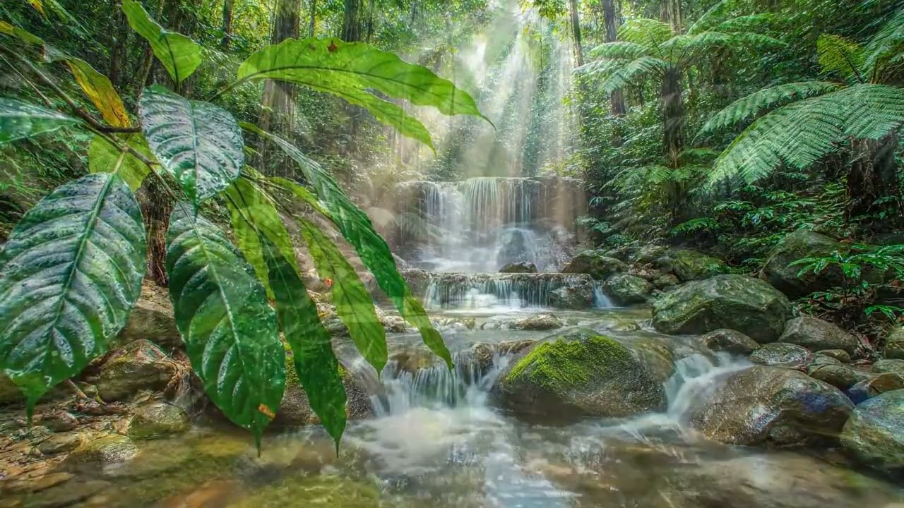 Emotional Piano & Water Sounds for Deep Sleep