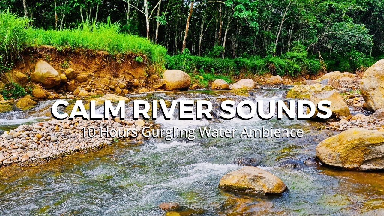 River sounds for Self healing therapy, Calming river stream sound