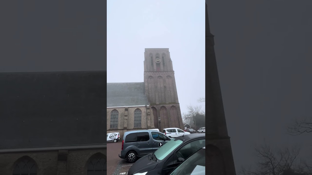 De Lier Domkerk Volgelui 