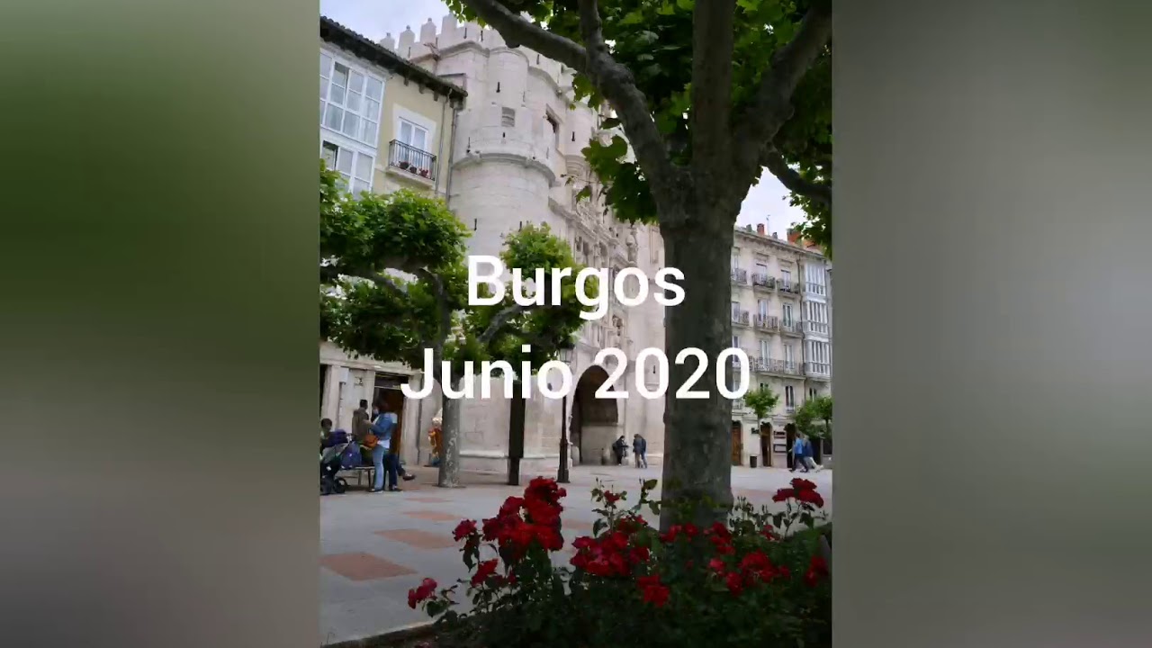 Corpus 2020