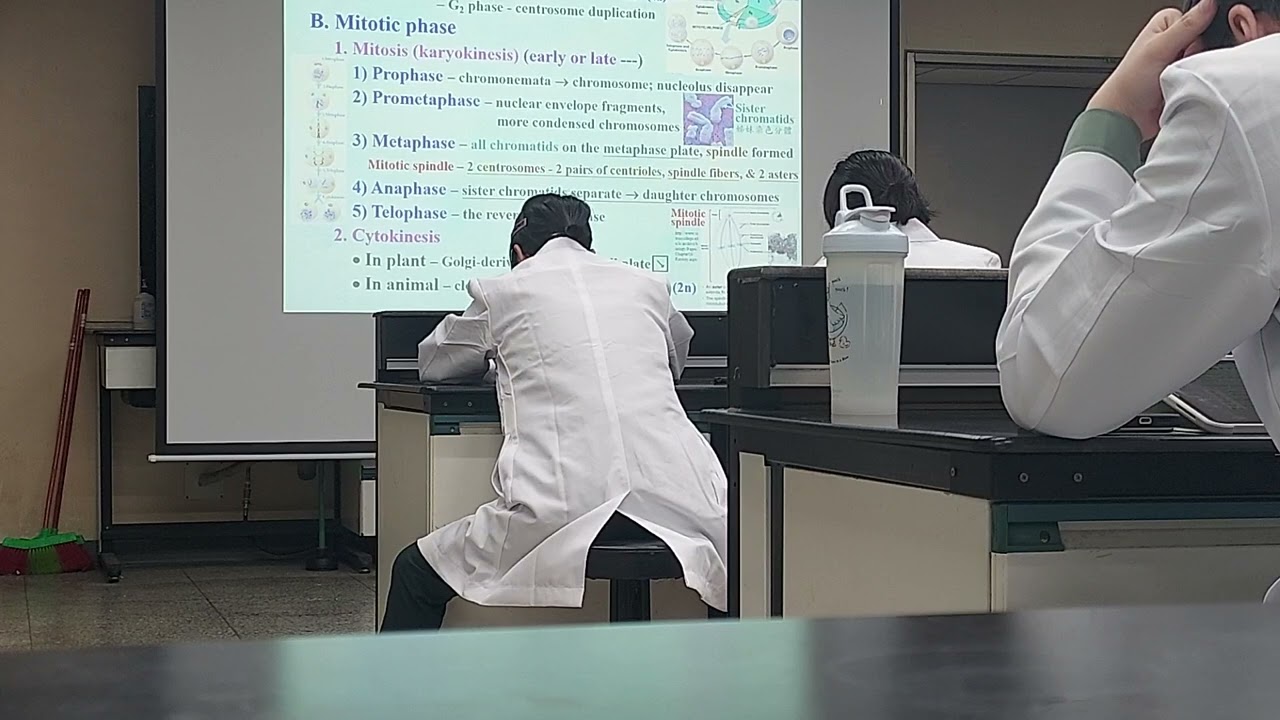 20260121普生實驗cell devision and chromosome(mitosis)